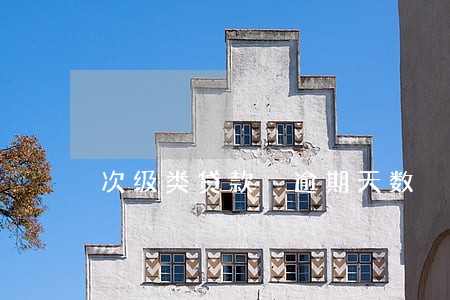 次级类贷款 逾期天数 次级类贷款 逾期天数